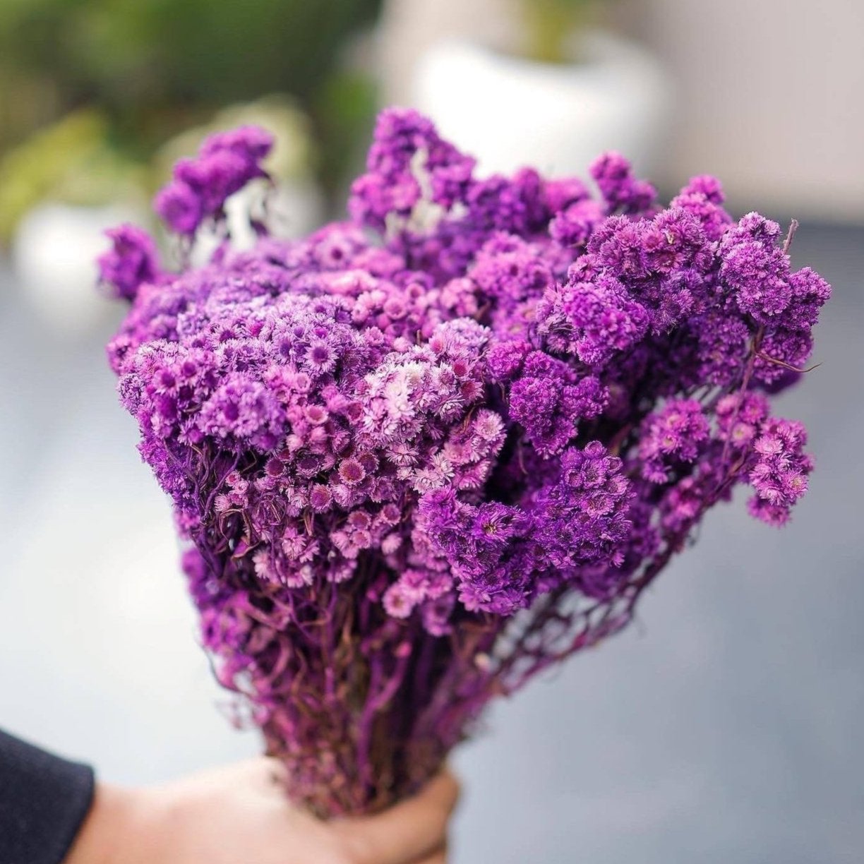 Purple daisies bunch - https://orahomedecor.in/