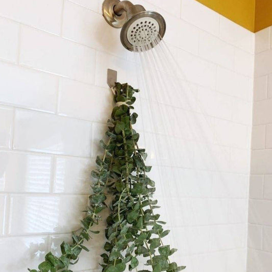 Eucalyptus dried leaves -set of 5 stems - https://orahomedecor.in/