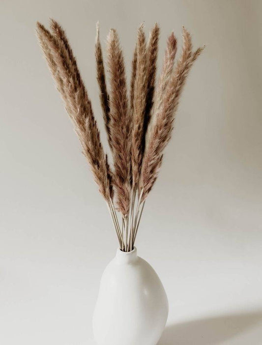 Mini brown pampas-set of 10 sticks - https://orahomedecor.in/