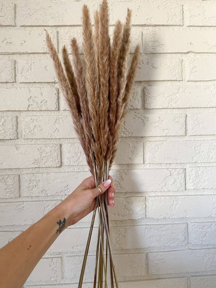 Mini brown pampas-set of 10 sticks - https://orahomedecor.in/