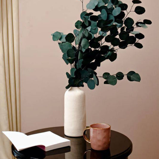 Million Dollar Eucalyptus - https://orahomedecor.in/