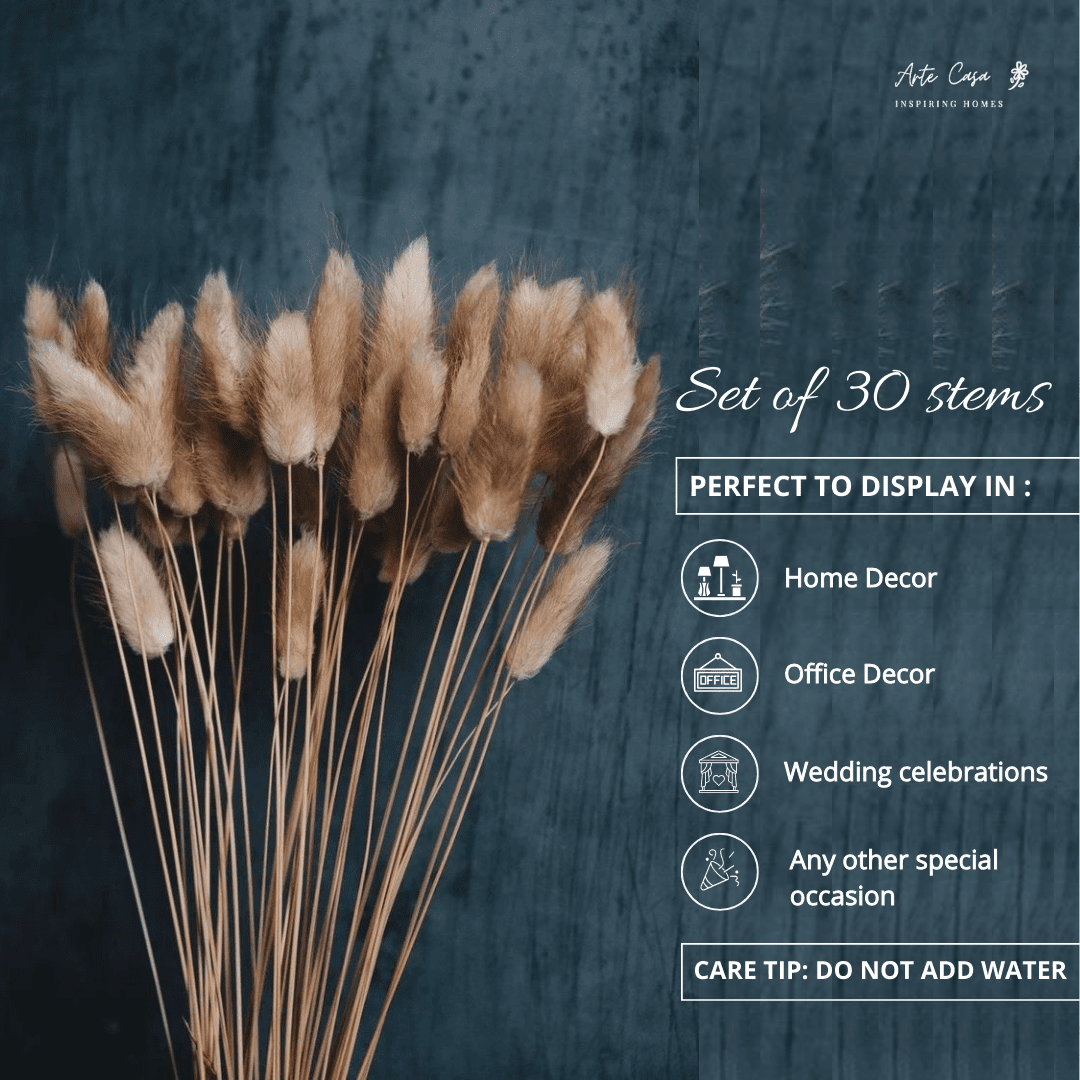 Imported bunny tails-set of 30 stems - https://orahomedecor.in/