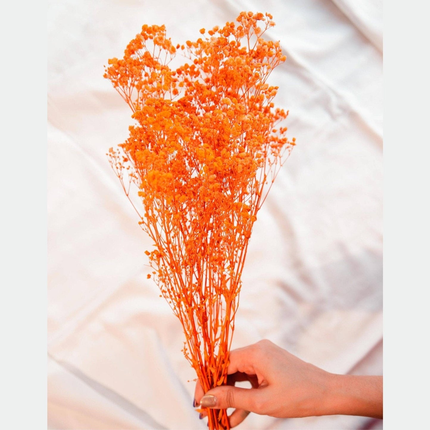 Orange baby breaths - https://orahomedecor.in/