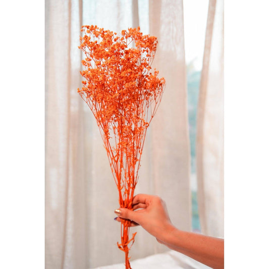 Orange baby breaths - https://orahomedecor.in/