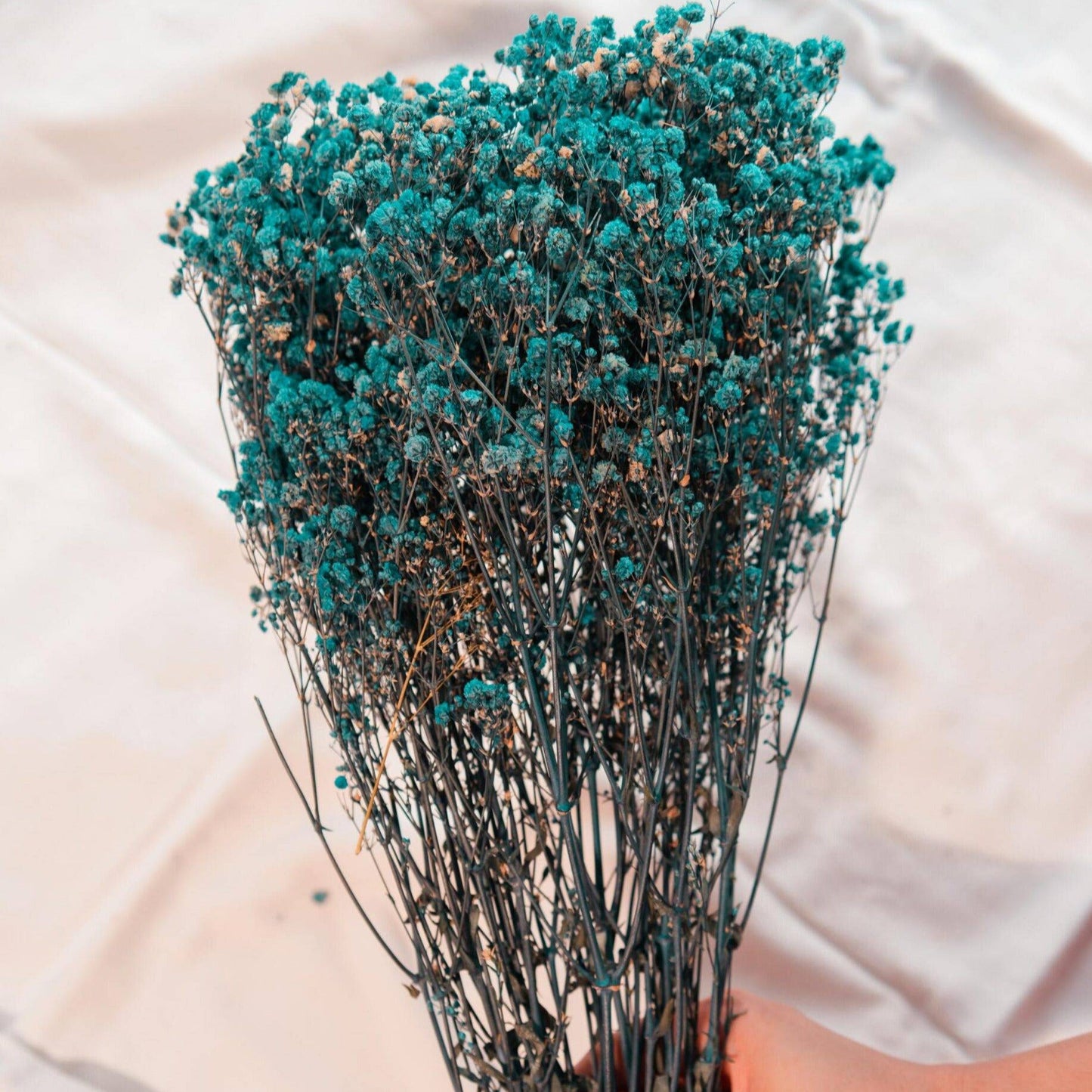 Royal blue baby breaths - https://orahomedecor.in/