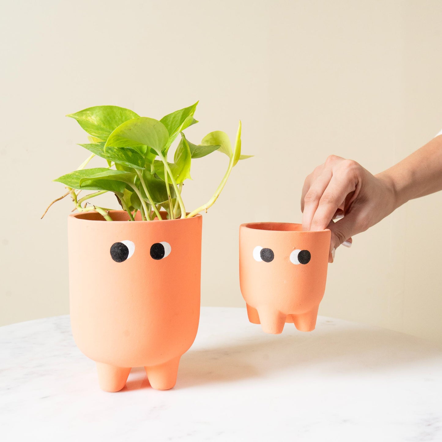 Friendly face pot set