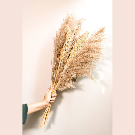 Pampas Corn bunch - https://orahomedecor.in/