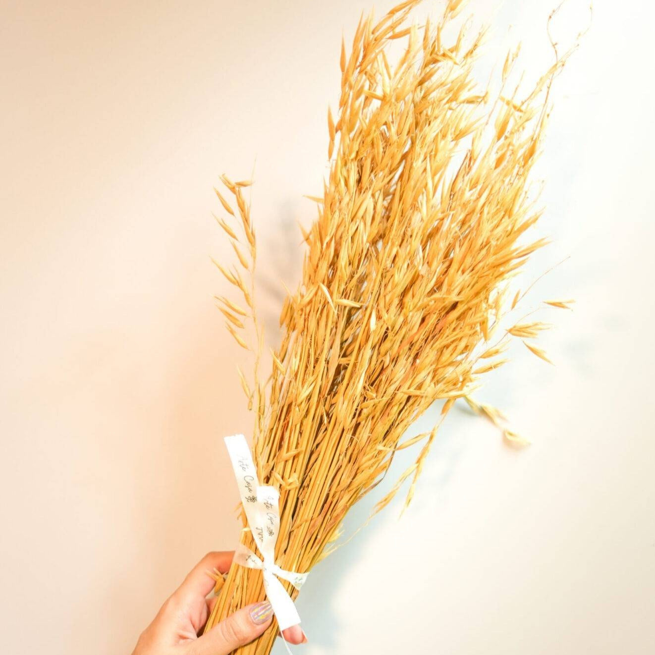 Natural oats bunch - https://orahomedecor.in/