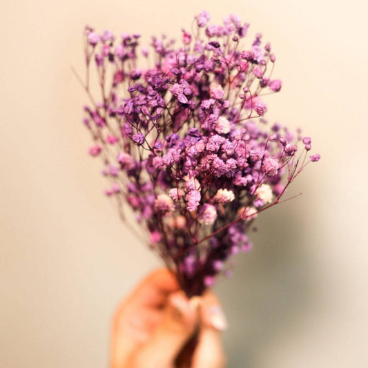 Purple Baby breaths - https://orahomedecor.in/