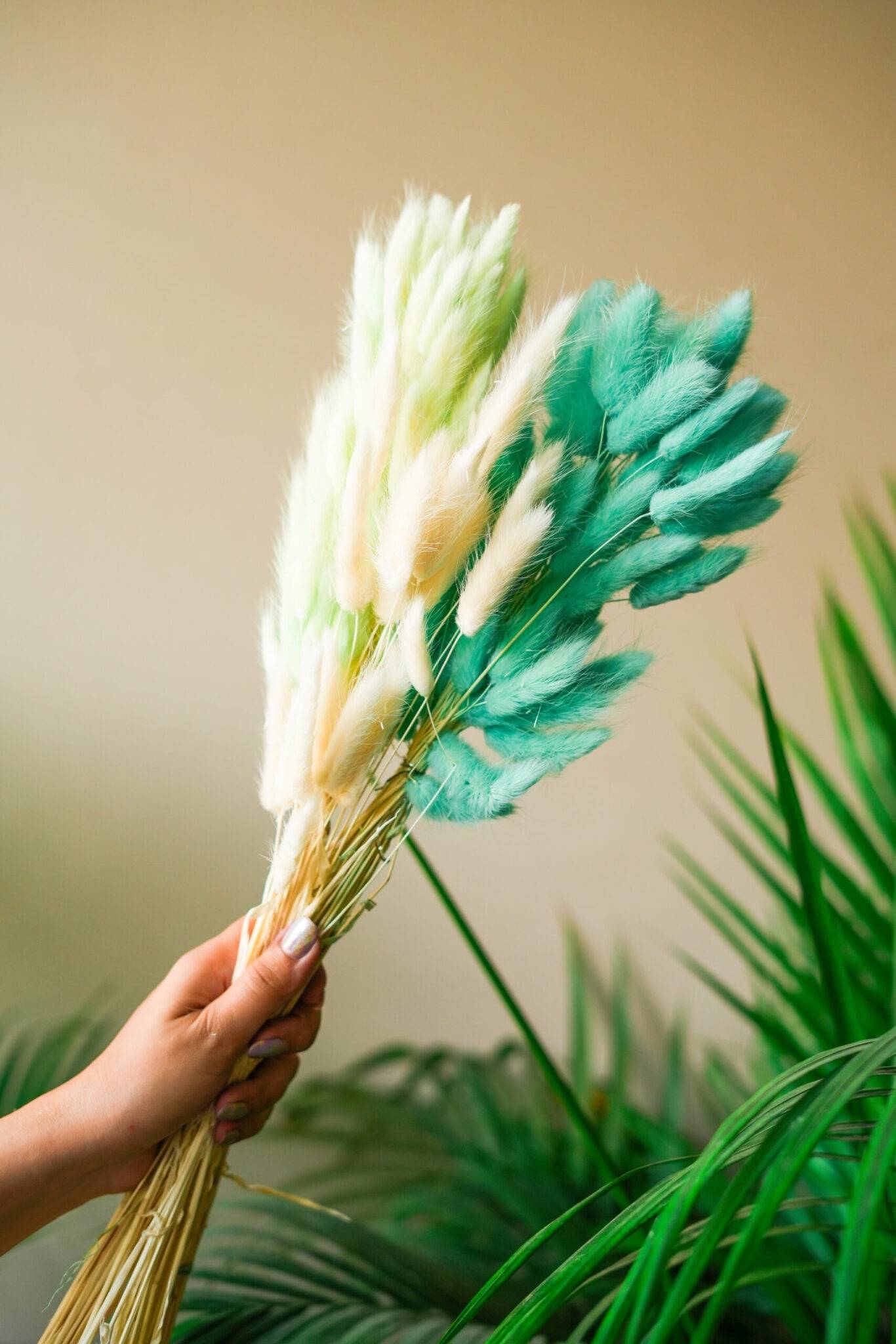 Mint Green Bunny tails-set of 50 stems - https://orahomedecor.in/