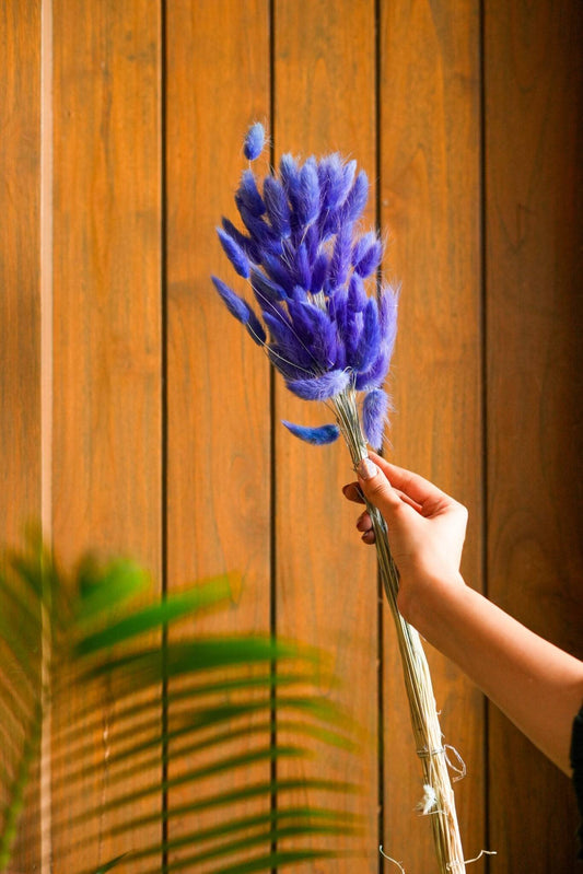 Royal Blue-Bunny tails-set of 50 stems - https://orahomedecor.in/