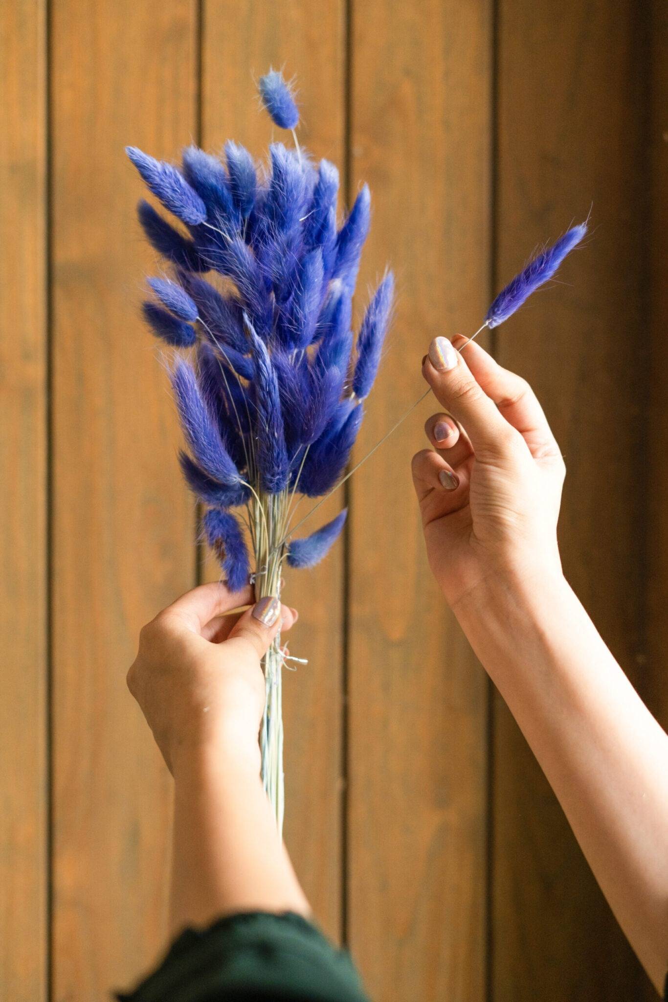 Royal Blue-Bunny tails-set of 50 stems - https://orahomedecor.in/