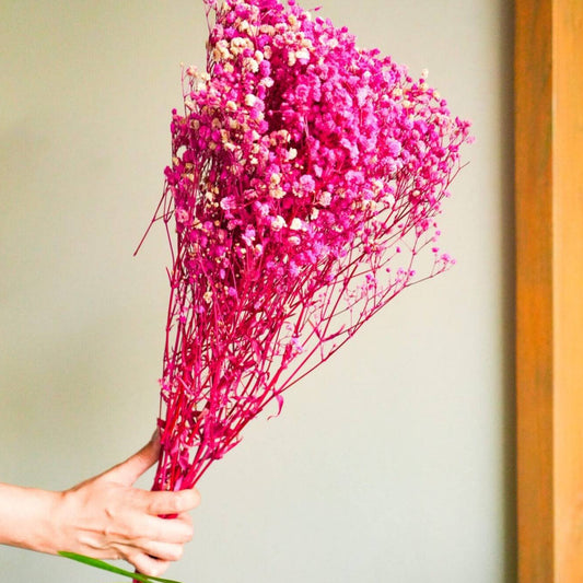 Pink Baby breaths - https://orahomedecor.in/