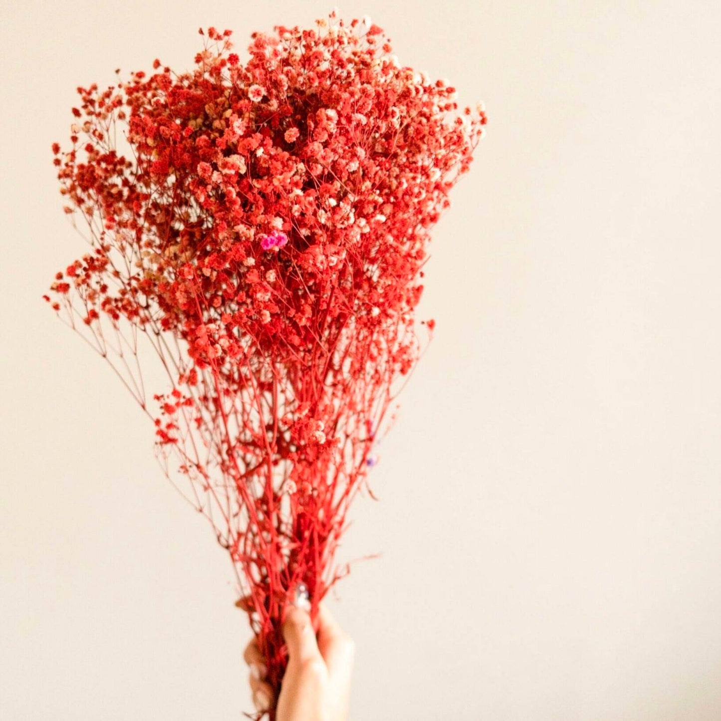 Red baby breaths - https://orahomedecor.in/