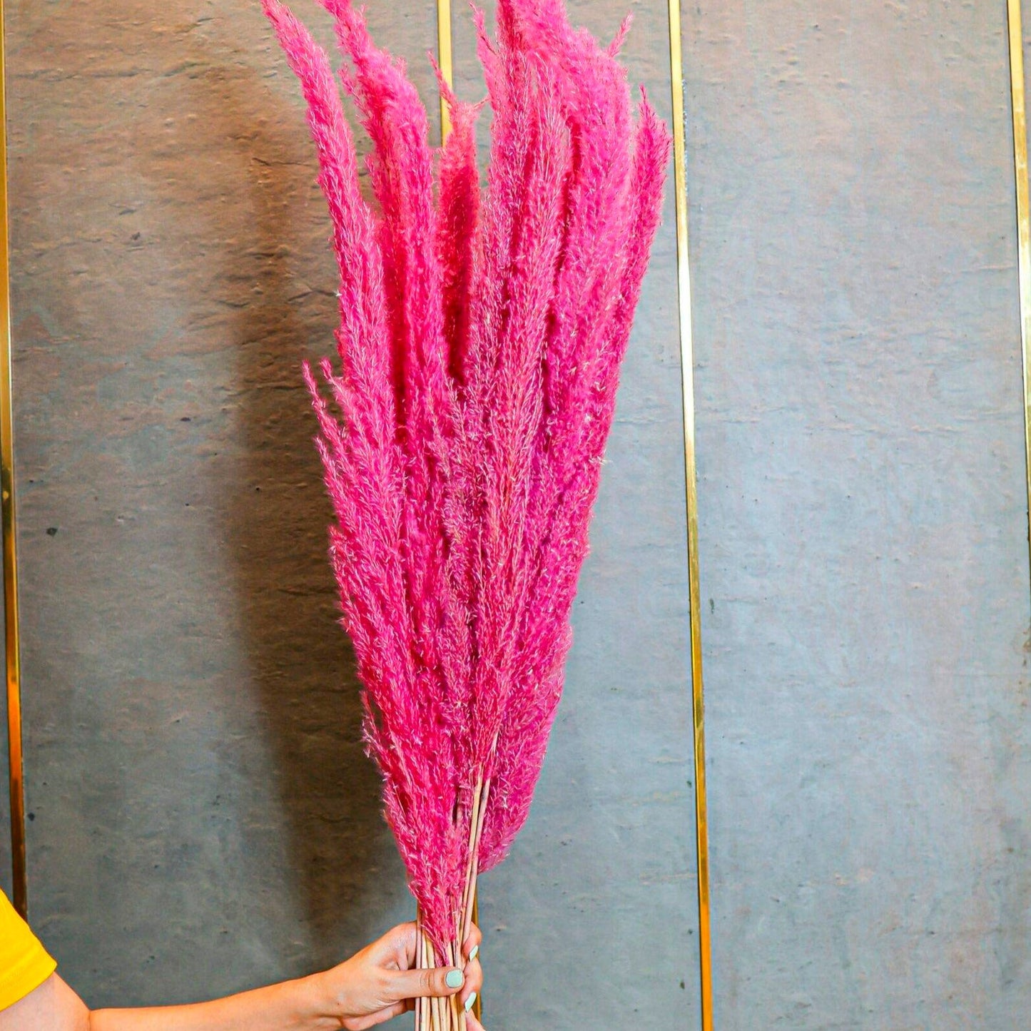 Pampas Pink -XL-set of 10 stems (Copy) - https://orahomedecor.in/
