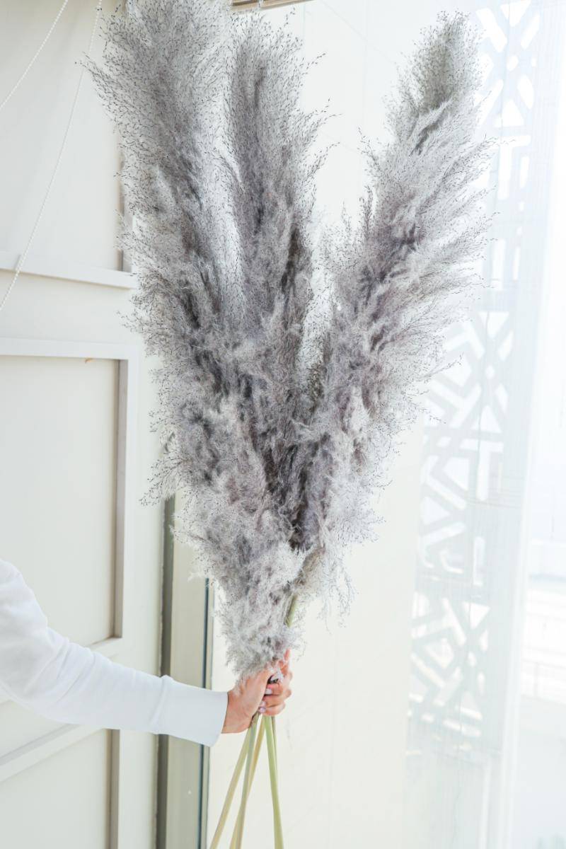 Imported charcoal Pampas-XL -set of 5 stems - https://orahomedecor.in/