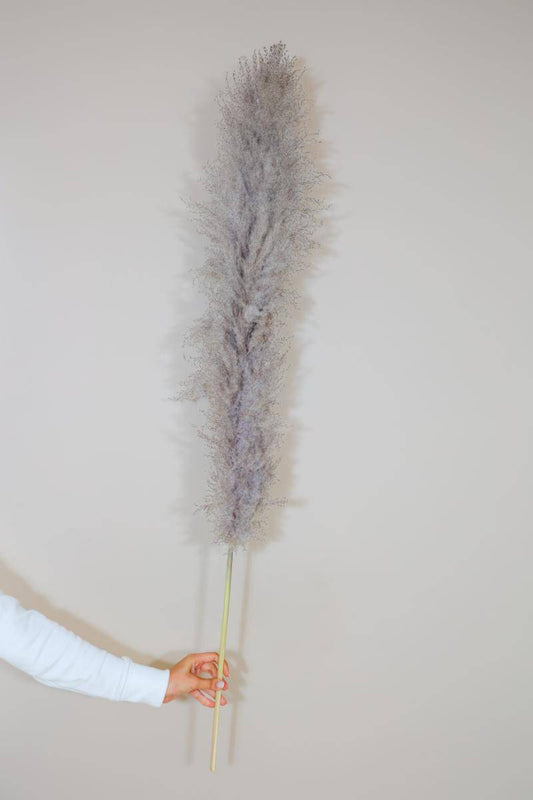 Imported charcoal Pampas-XL -set of 5 stems - https://orahomedecor.in/