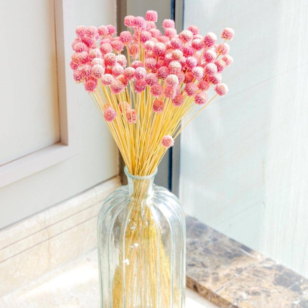 Gomphera with Crystal Glass vase-Light Pink