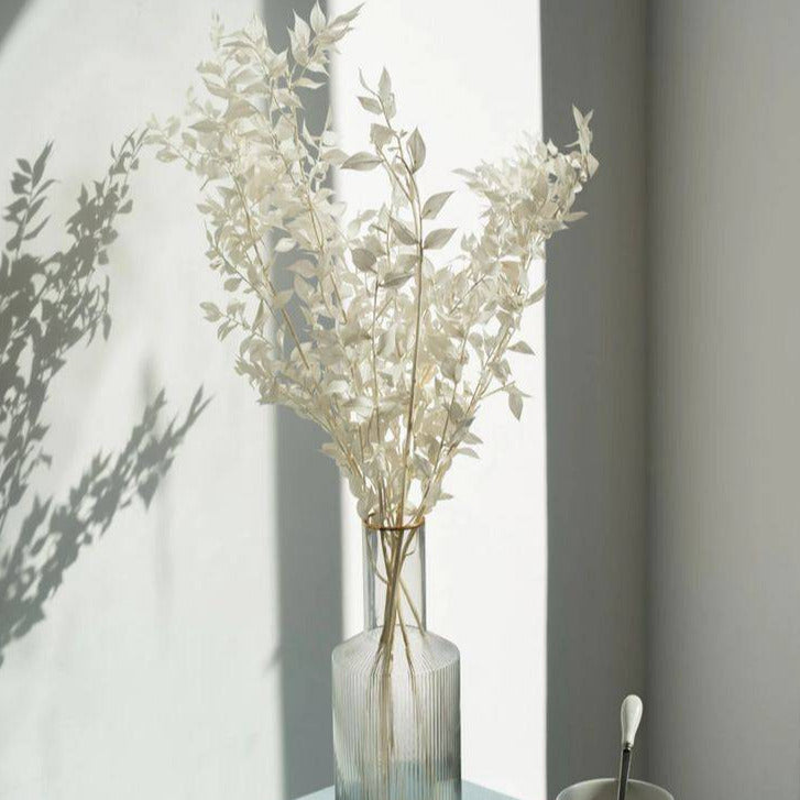 Ruscus - https://orahomedecor.in/