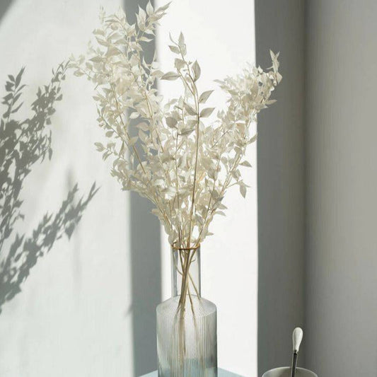 Ruscus - https://orahomedecor.in/