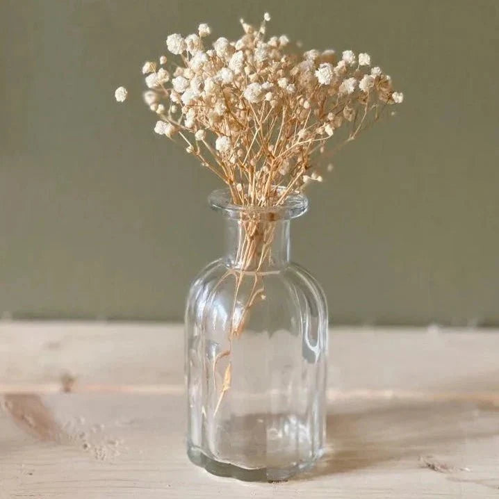 Baby breaths - White - https://orahomedecor.in/