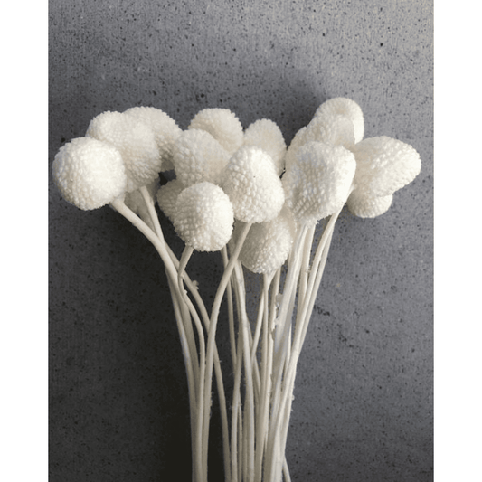 Billy ball-set of 10 - https://orahomedecor.in/