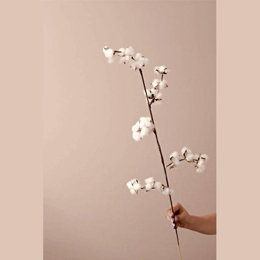 Cotton bloom stems - https://orahomedecor.in/