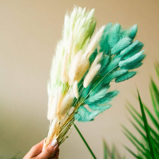 Dark Mint Green Bunny tails-set of 50 stems - https://orahomedecor.in/