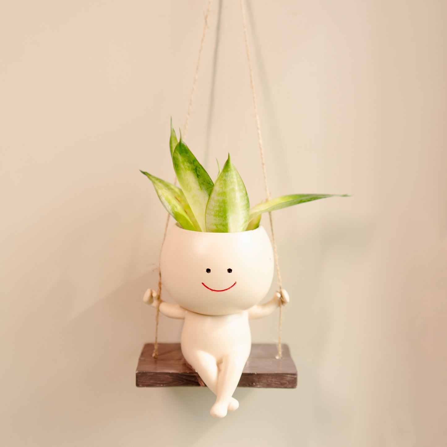The Happy Hang planter