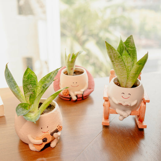 The Joyful Swing Set