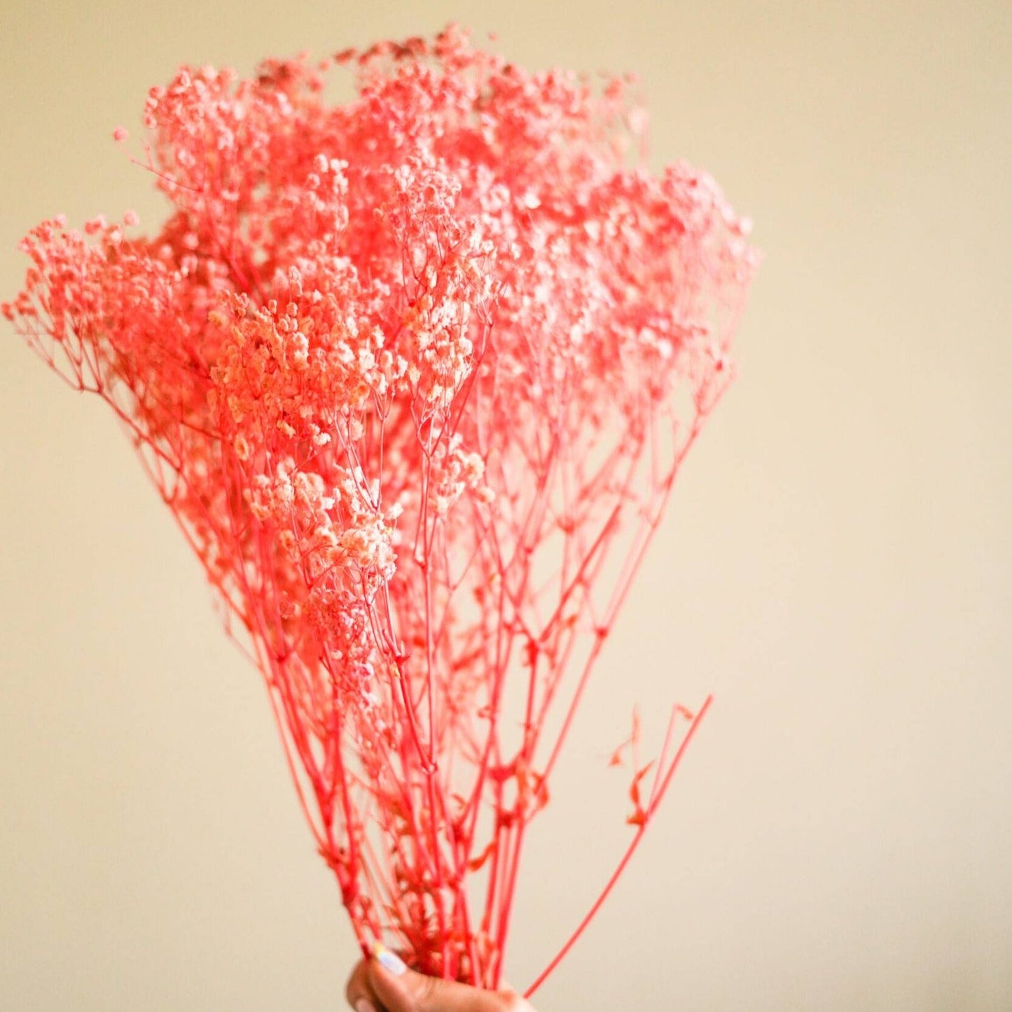 pastel Pink baby breaths - https://orahomedecor.in/