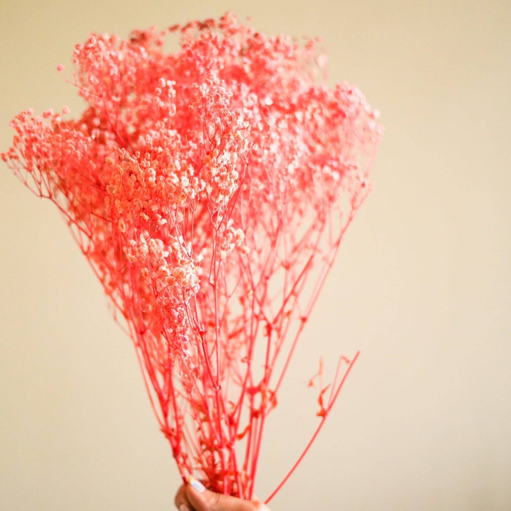 pastel Pink baby breaths - https://orahomedecor.in/