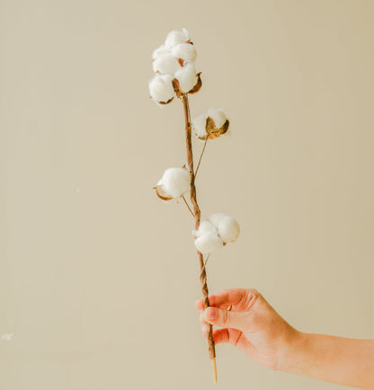 Emerald Green Glass Vase with cotton stem