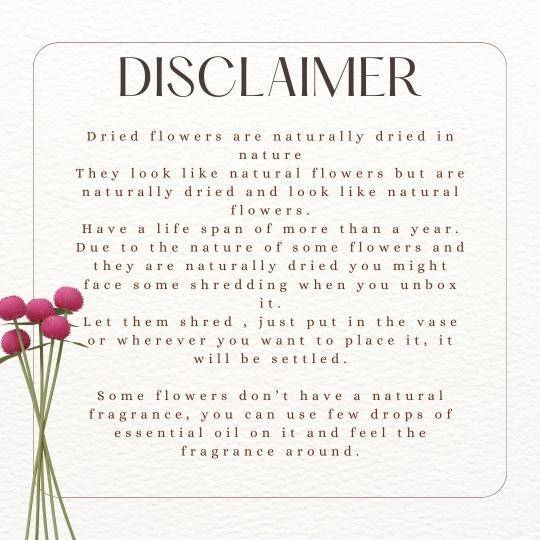 Hydrangeas _Peach - https://orahomedecor.in/