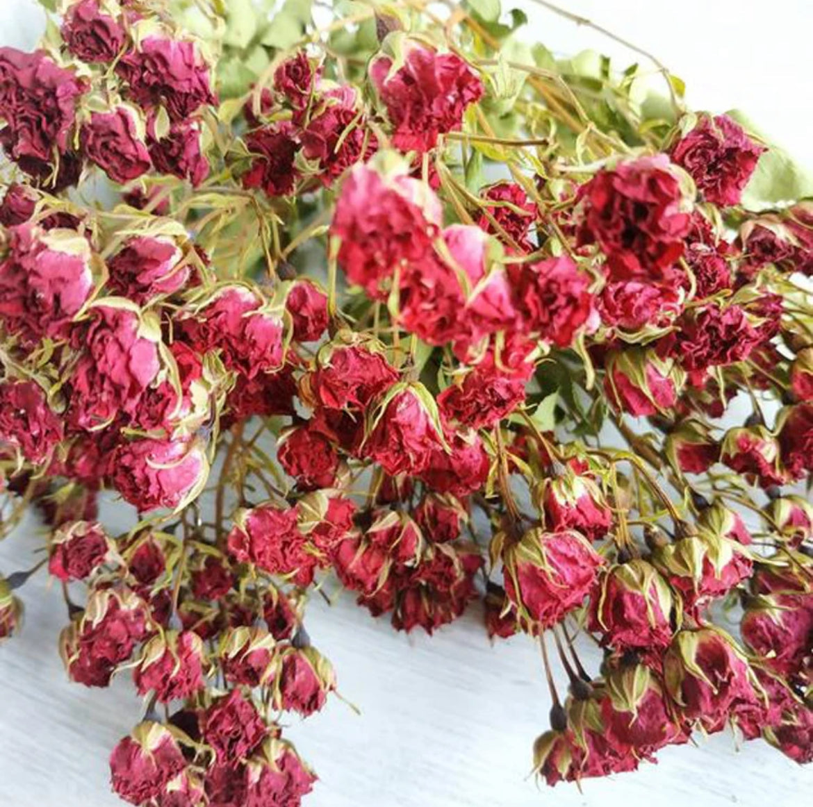 Dried Red roses
