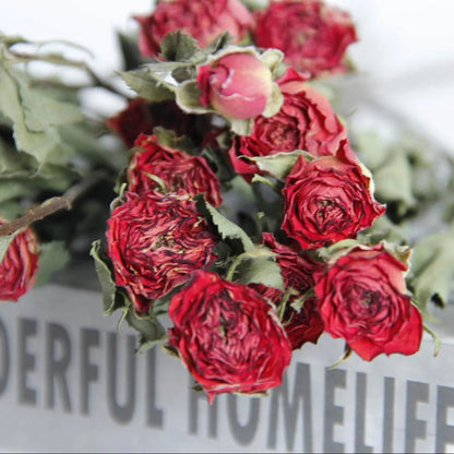 Dried Red roses