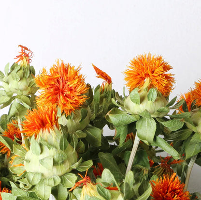 Dried safflower