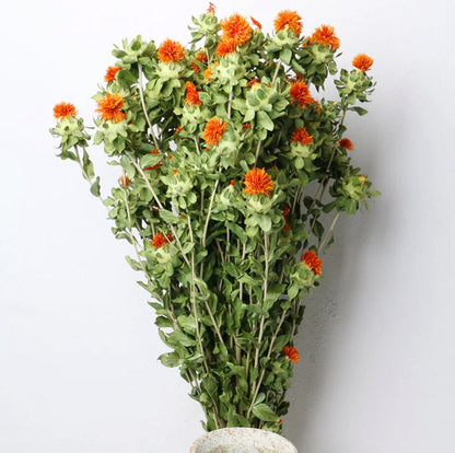 Dried safflower