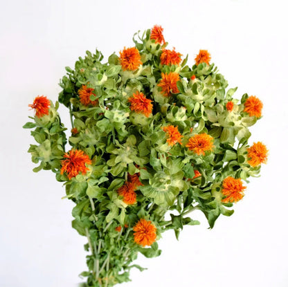 Dried safflower
