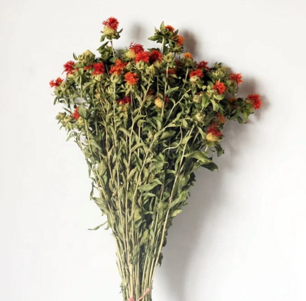 Dried safflower
