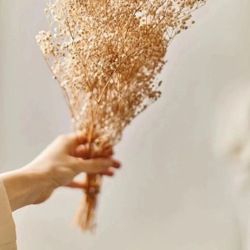 Baby breaths - White - https://orahomedecor.in/