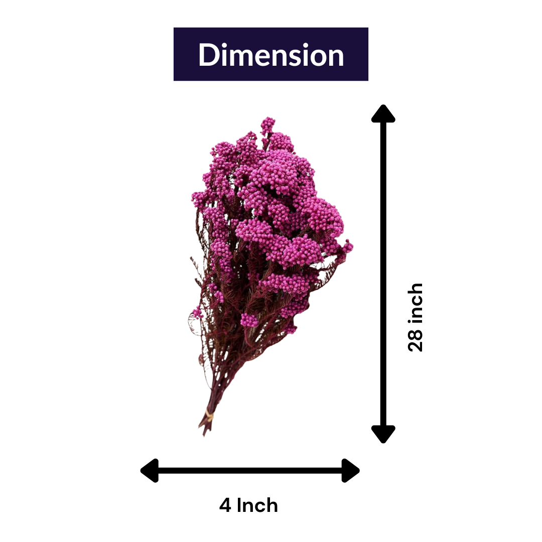 pink dried rice flower arrangement for home decor by Ora Home Decor
