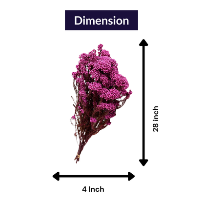 pink dried rice flower arrangement for home decor by Ora Home Decor