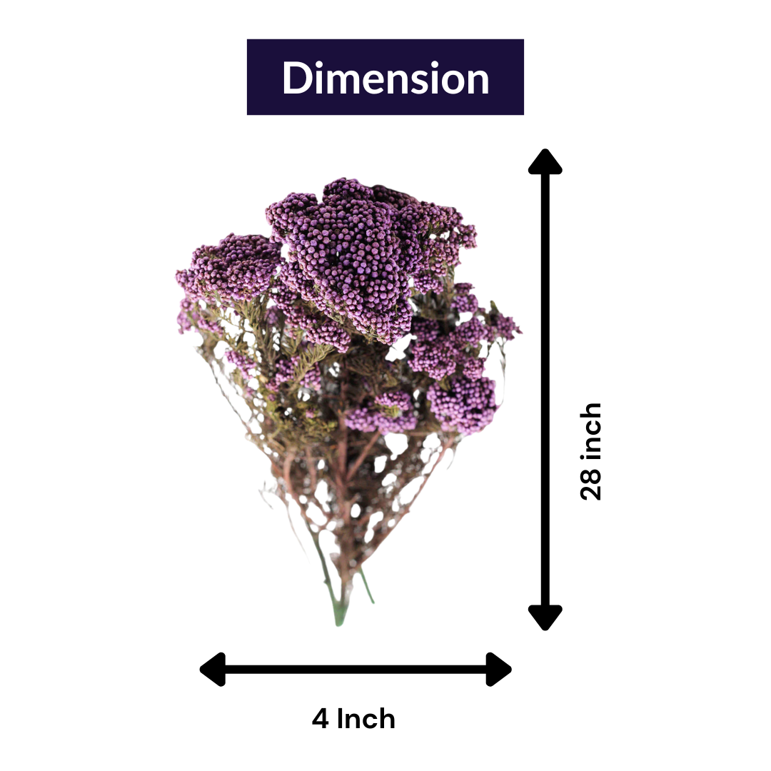 Purple Dried Rice Flower – Natural Forever Floral Décor | Ora Home Decor
