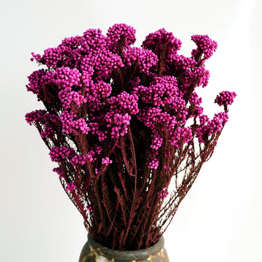 pink dried rice flower arrangement for home decor by Ora Home Decor