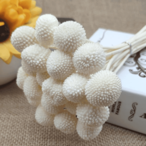 White Billy Balls Dried Flowers Set of 10 | Craspedia Vase Filler Decor