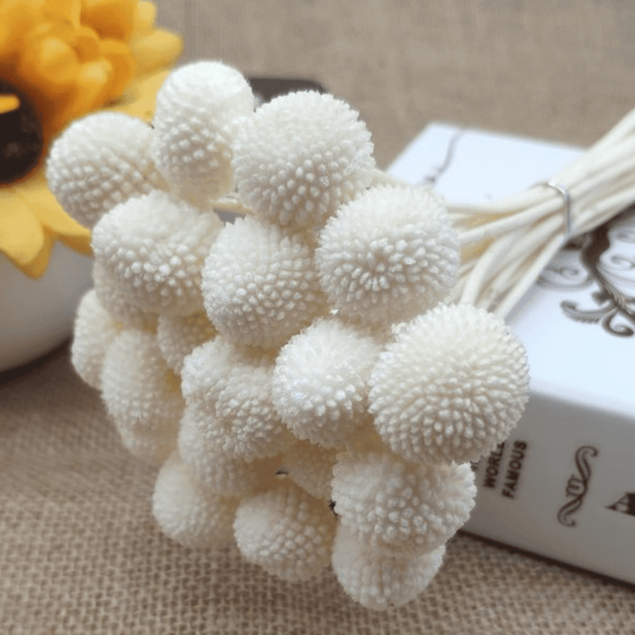 White Billy Balls Dried Flowers Set of 10 | Craspedia Vase Filler Decor