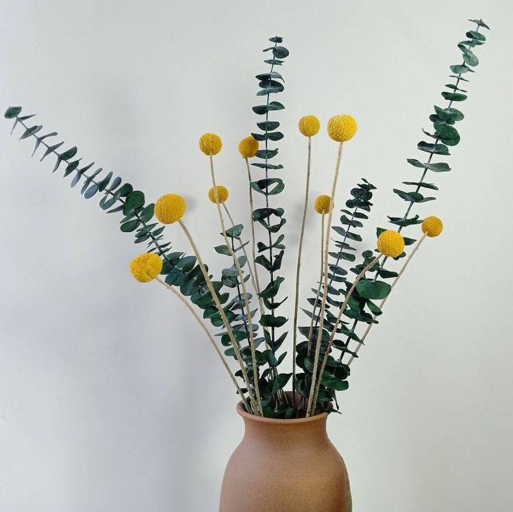 Yellow Billy Balls & Eucalyptus Dried Flower Bunch | Natural Vase Filler Decor