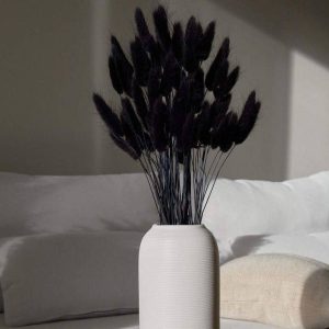 Black Bunny Tails Dried Flowers for Vase | Natural Lagurus Decor