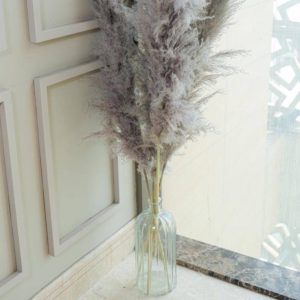 Imported Charcoal Pampas XL Set of 5 Stems for Home Decor | Arte Casa